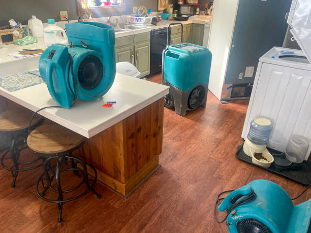 Best Local water damage restoration  in Blackhawk, CA