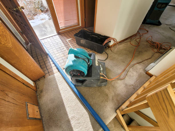 Best Ceiling water damage repair  in Blackhawk, CA