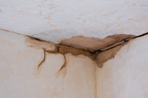 Best Mold removal after water damage  in Blackhawk, CA