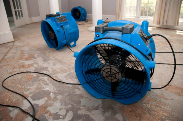 Best 24-hour water damage restoration  in Blackhawk, CA