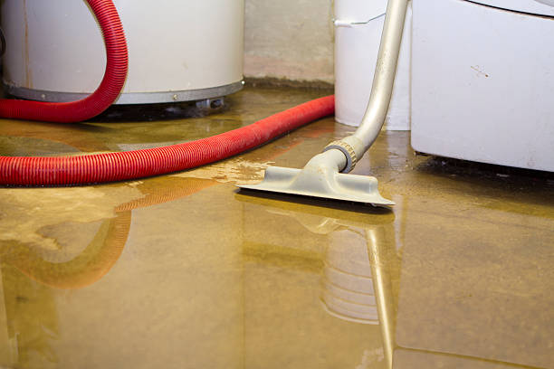 Best Basement water damage restoration  in Blackhawk, CA